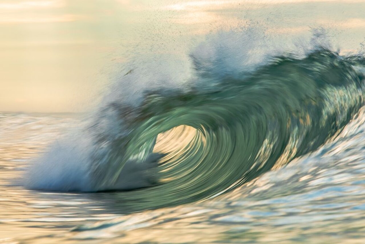 Viridity Poster Print by David A. Sieczkiewicz - Item # VARPDXS1842D